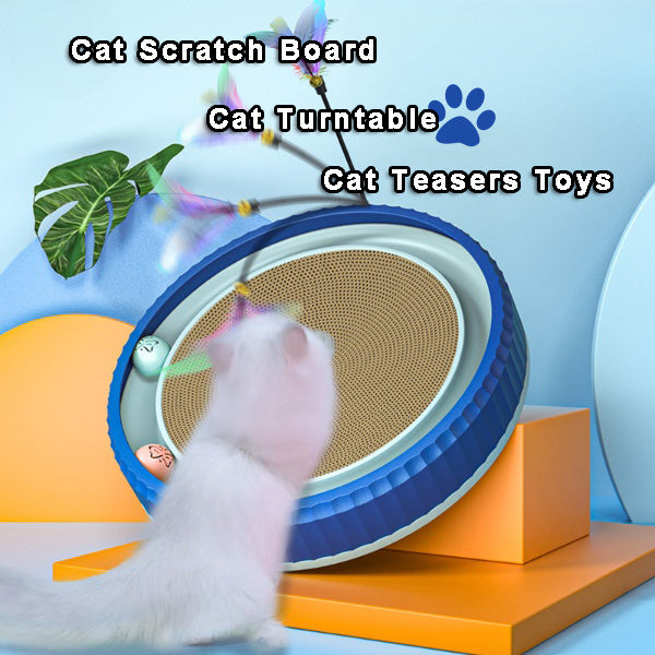 a cat playing with a toy