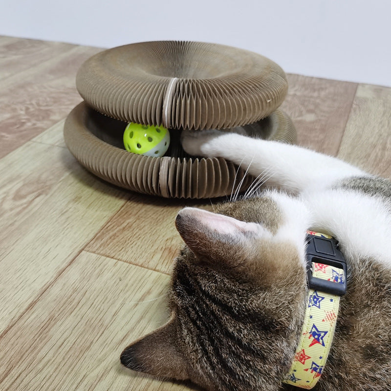 a cat playing with a toy