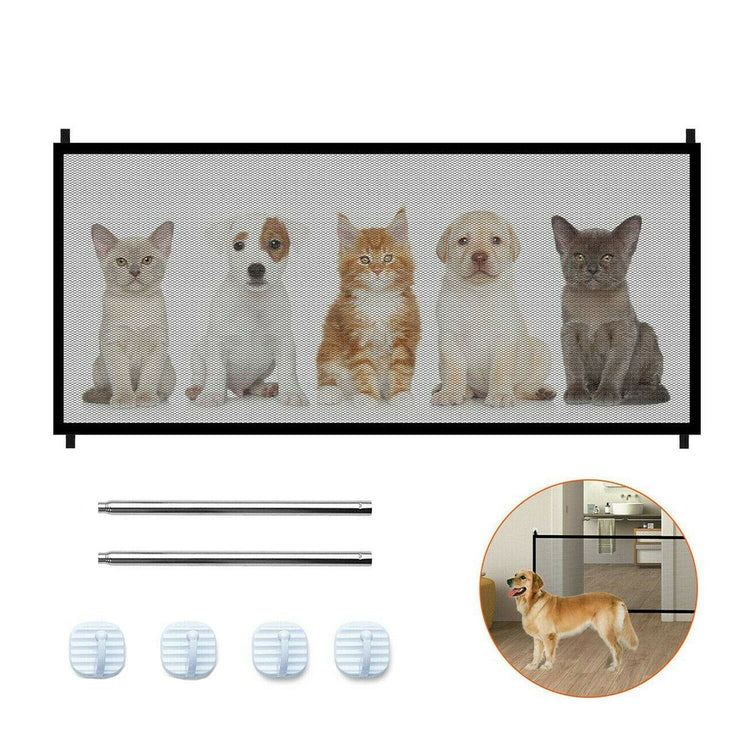 a dog and cats behind a mesh fence