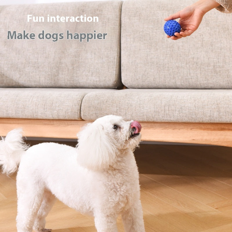 a dog looking at a ball