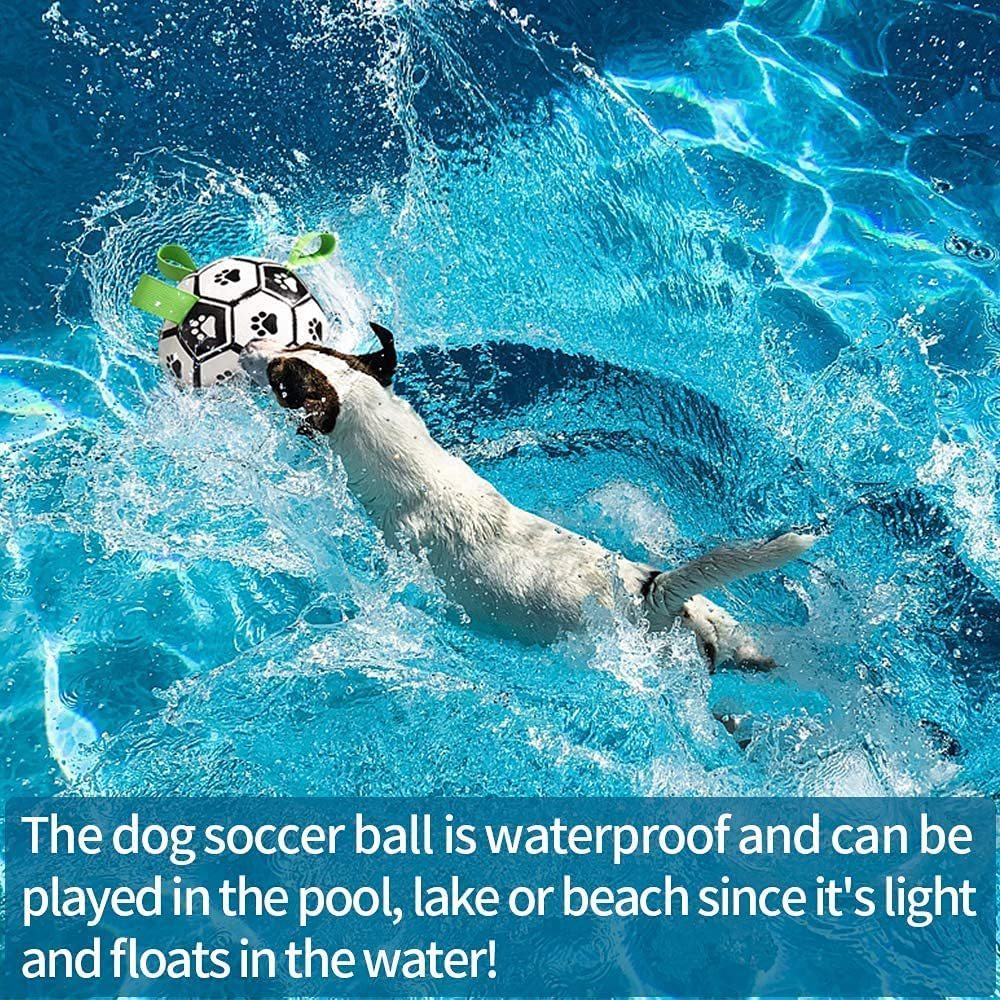 a dog swimming in a pool with a ball