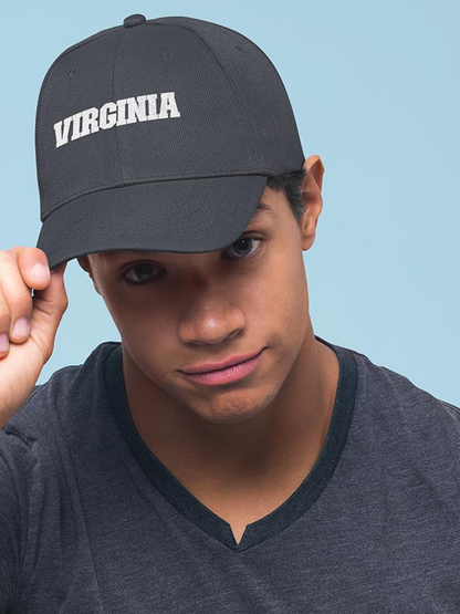 From Virginia Hat -SmartPrintsInk Designs