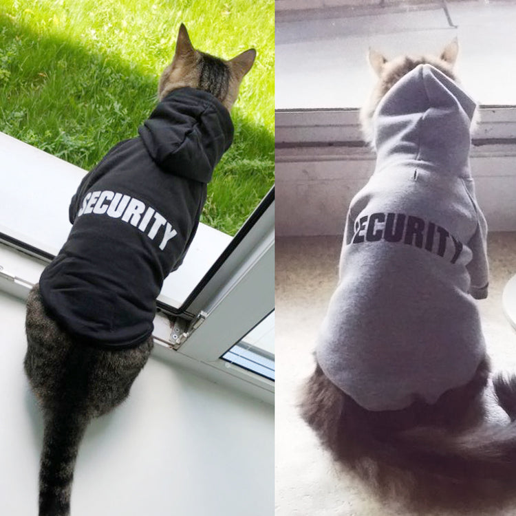 a cat wearing a sweater