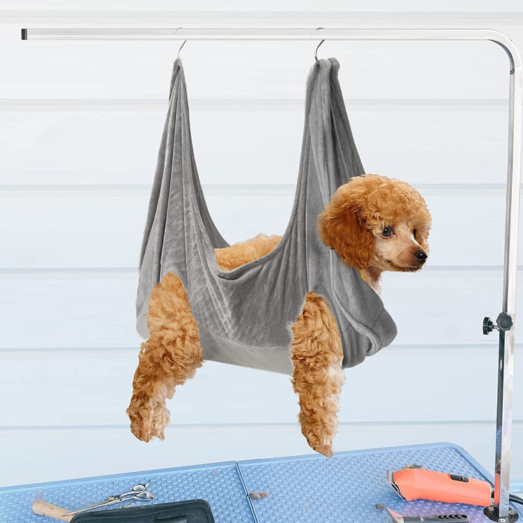 a dog in a hammock