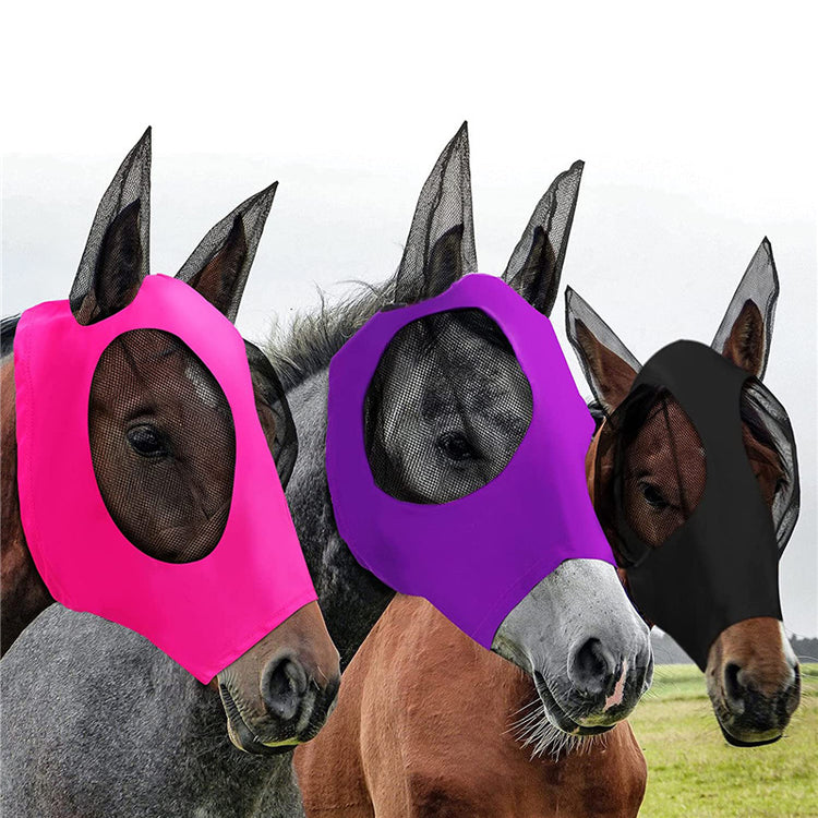 a group of horses with masks on their heads