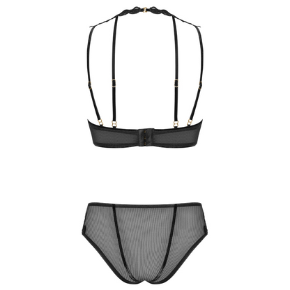 Sexy Sheer Demi Bra & Mesh Bikini Panty Set Majesty