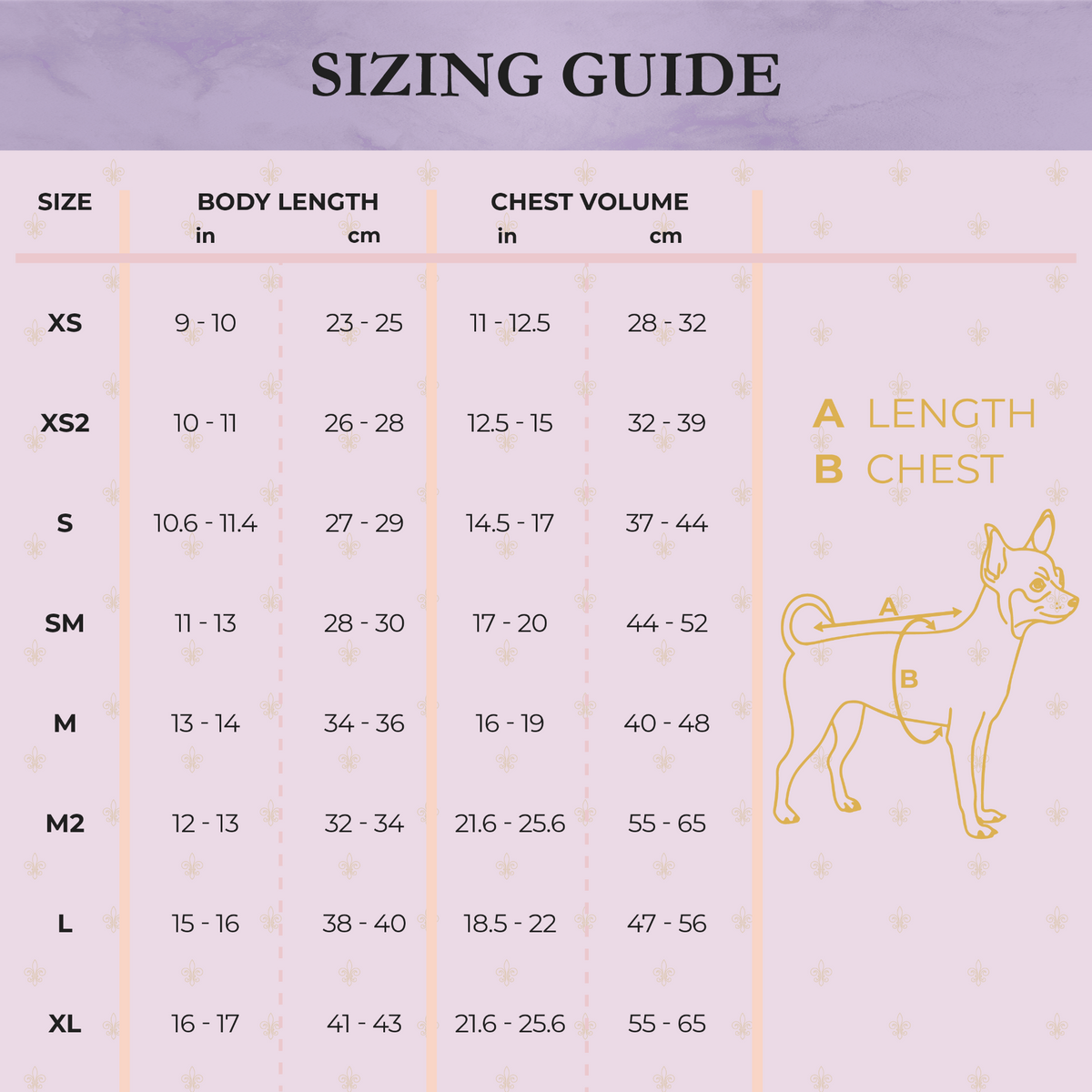 a chart of measurements for a dog