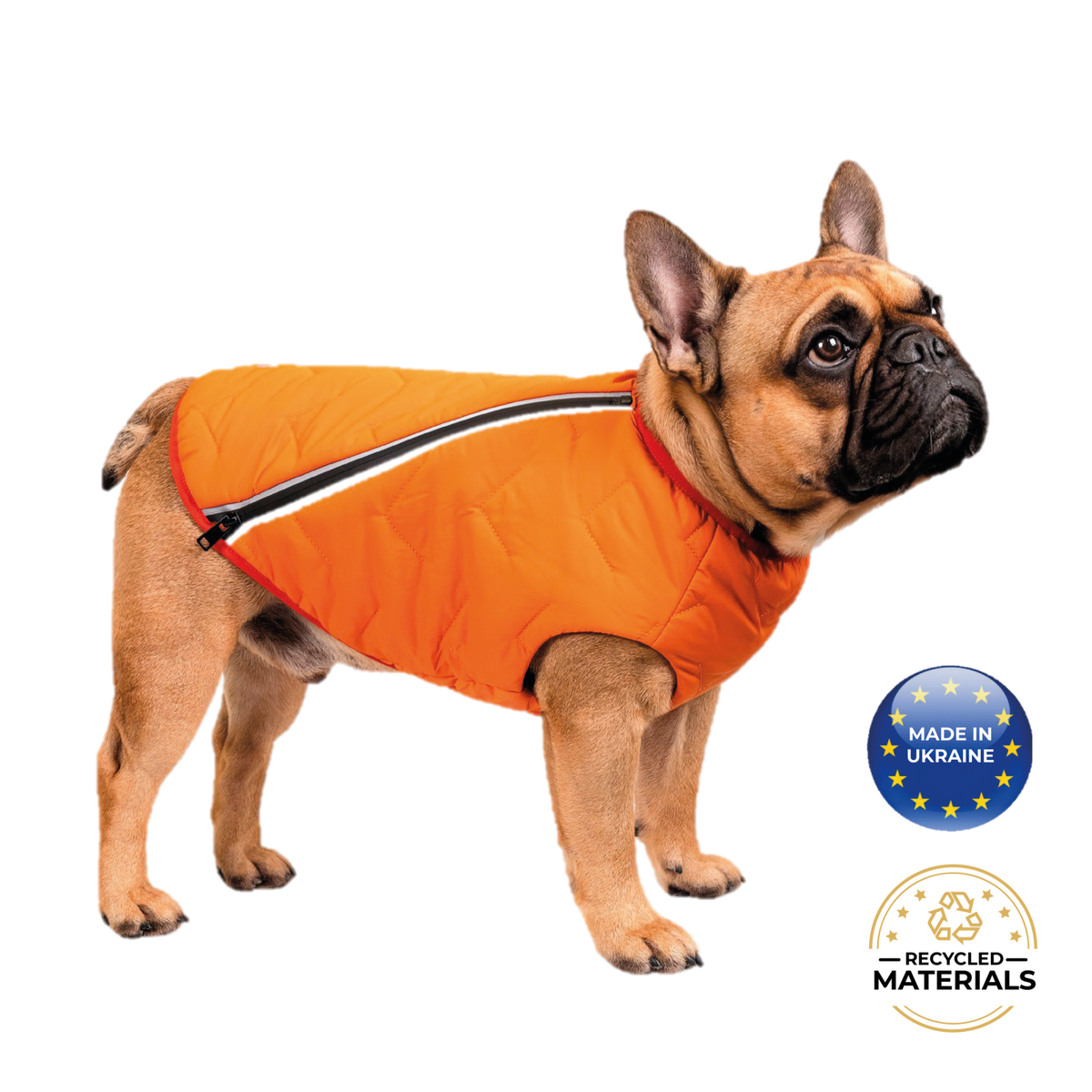 a dog wearing an orange vest