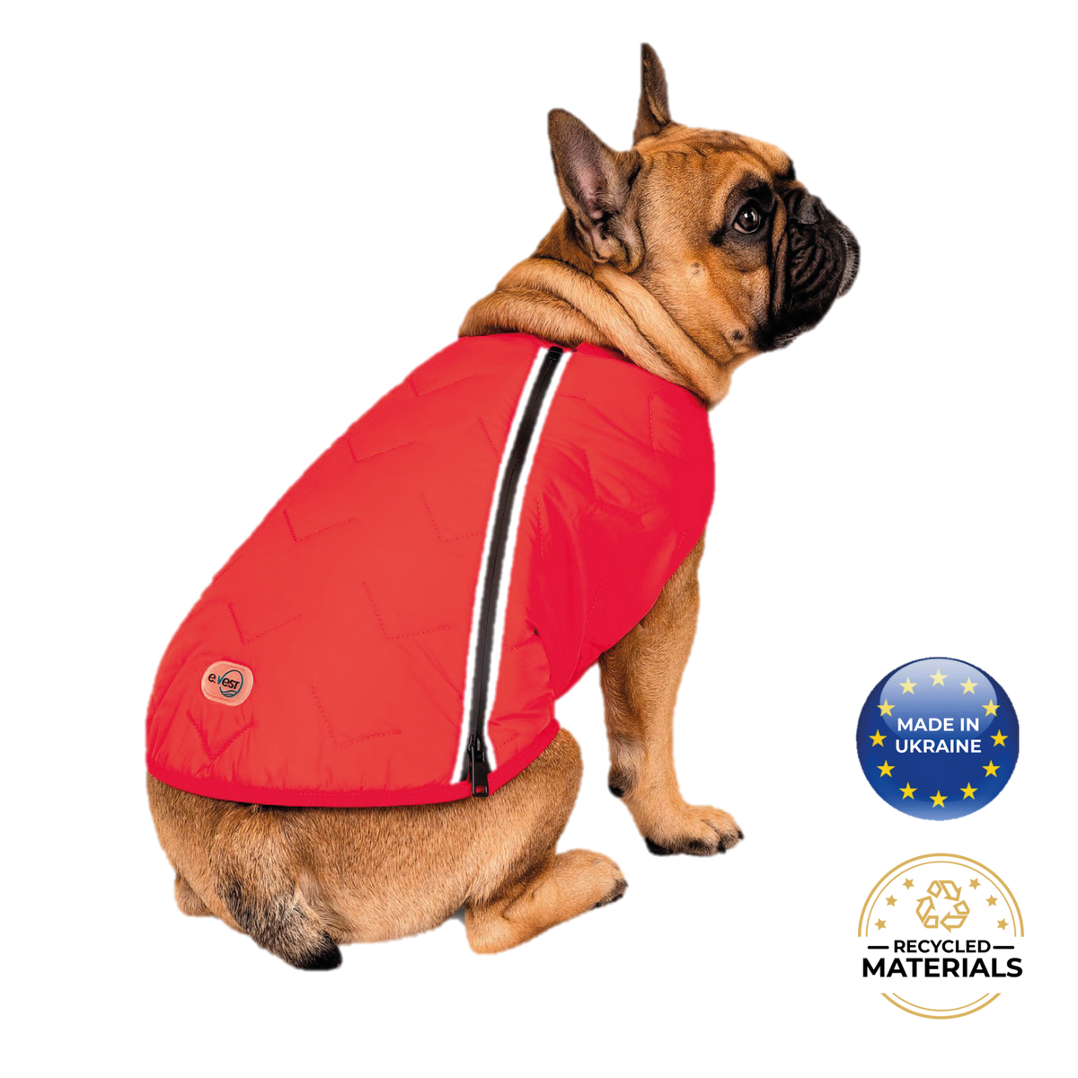 a dog wearing a red vest
