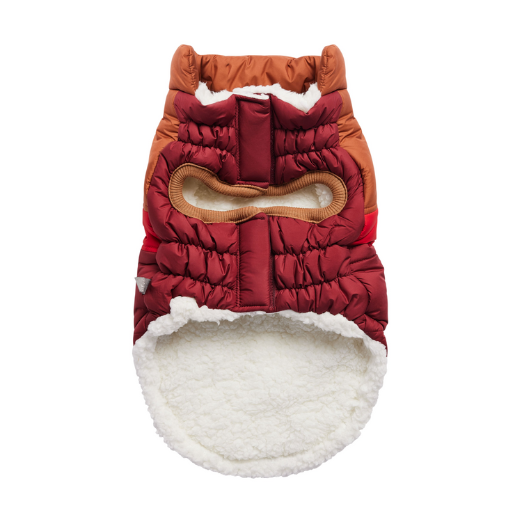 a red and brown dog coat