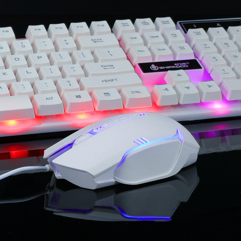 a white computer mouse and a keyboard