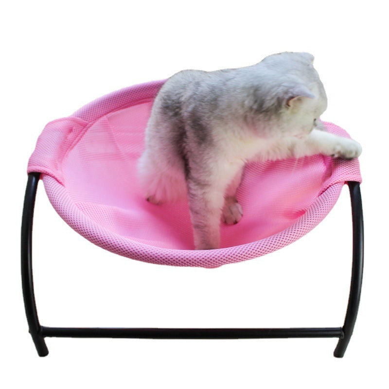 a cat in a pink hammock