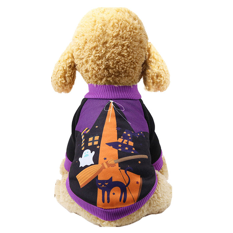 a dog wearing a sweater