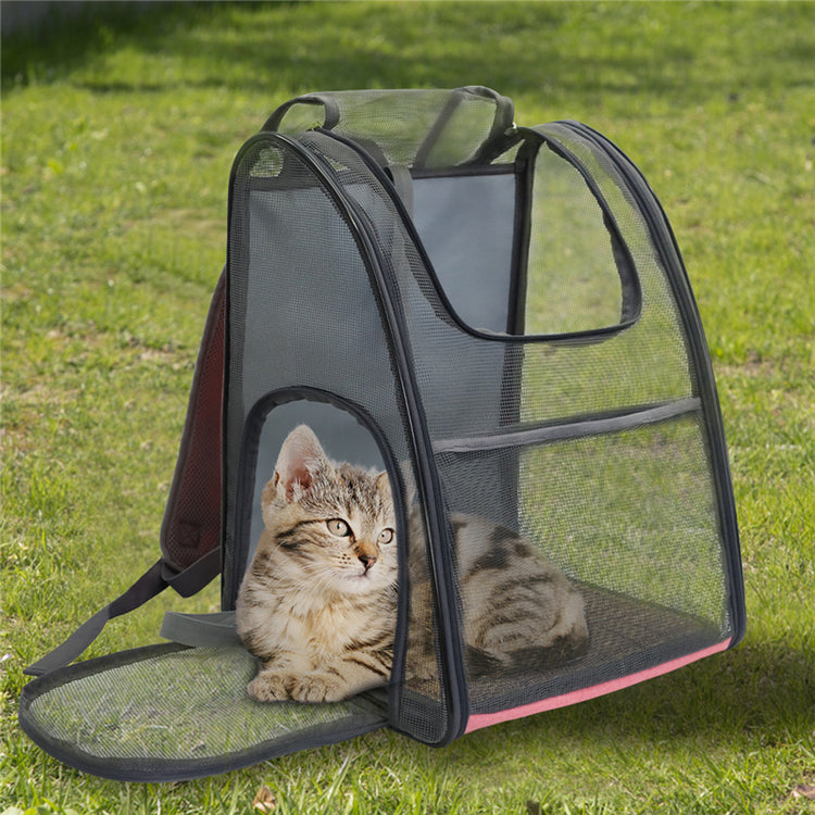 a cat sitting in a carrier