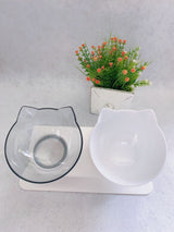 Elevated Double-Bowl Cat Feeding Station