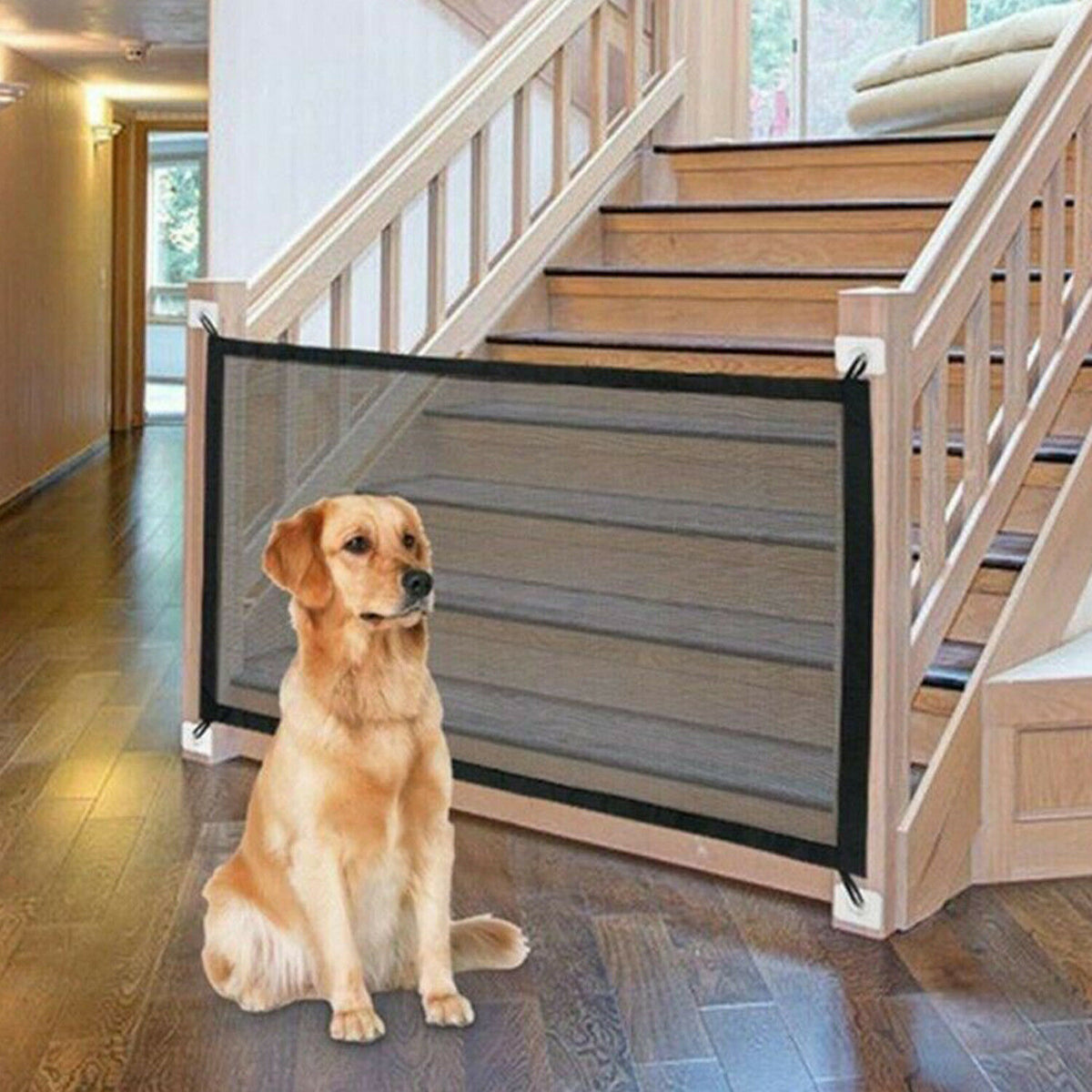a dog sitting in front of a staircase
