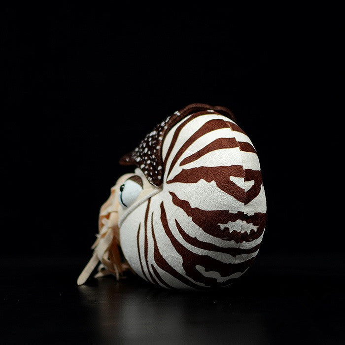 a stuffed nautilus toy