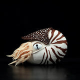 Nautilus Shell Plush Animal Toy