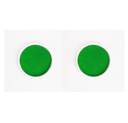 a green circle with white edges