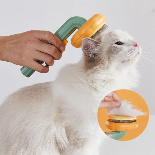 a hand holding a brush to a cat