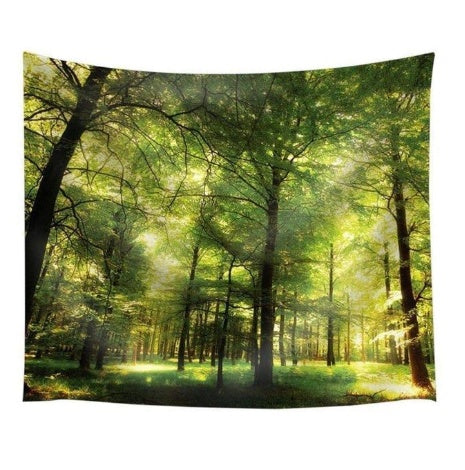 a forest with trees and sunlight