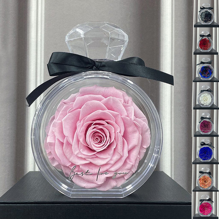 a rose in a bottle