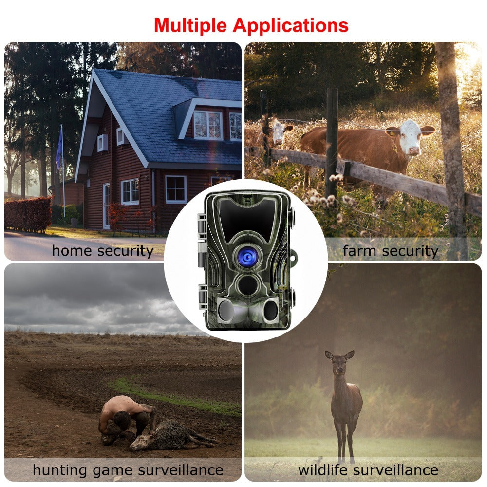 a collage of several images of animals