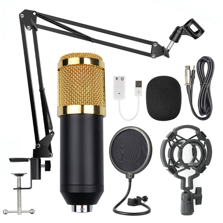 a microphone and a microphone stand