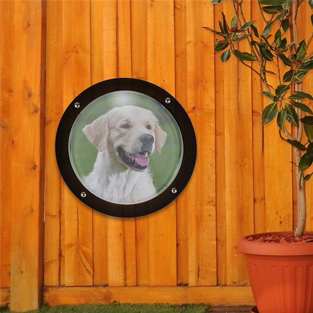a dog on a wall