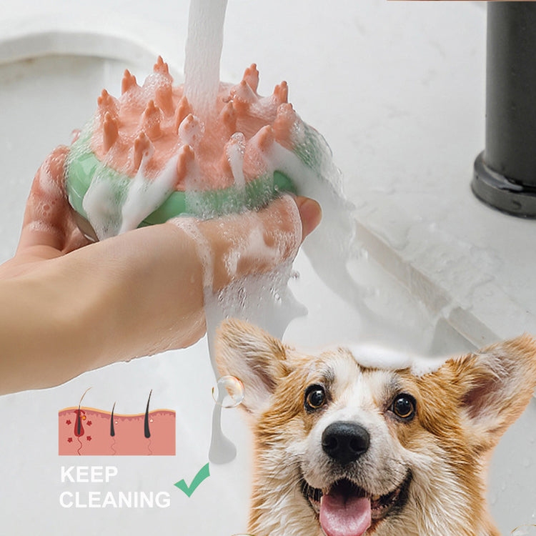 a dog washing a soap dish