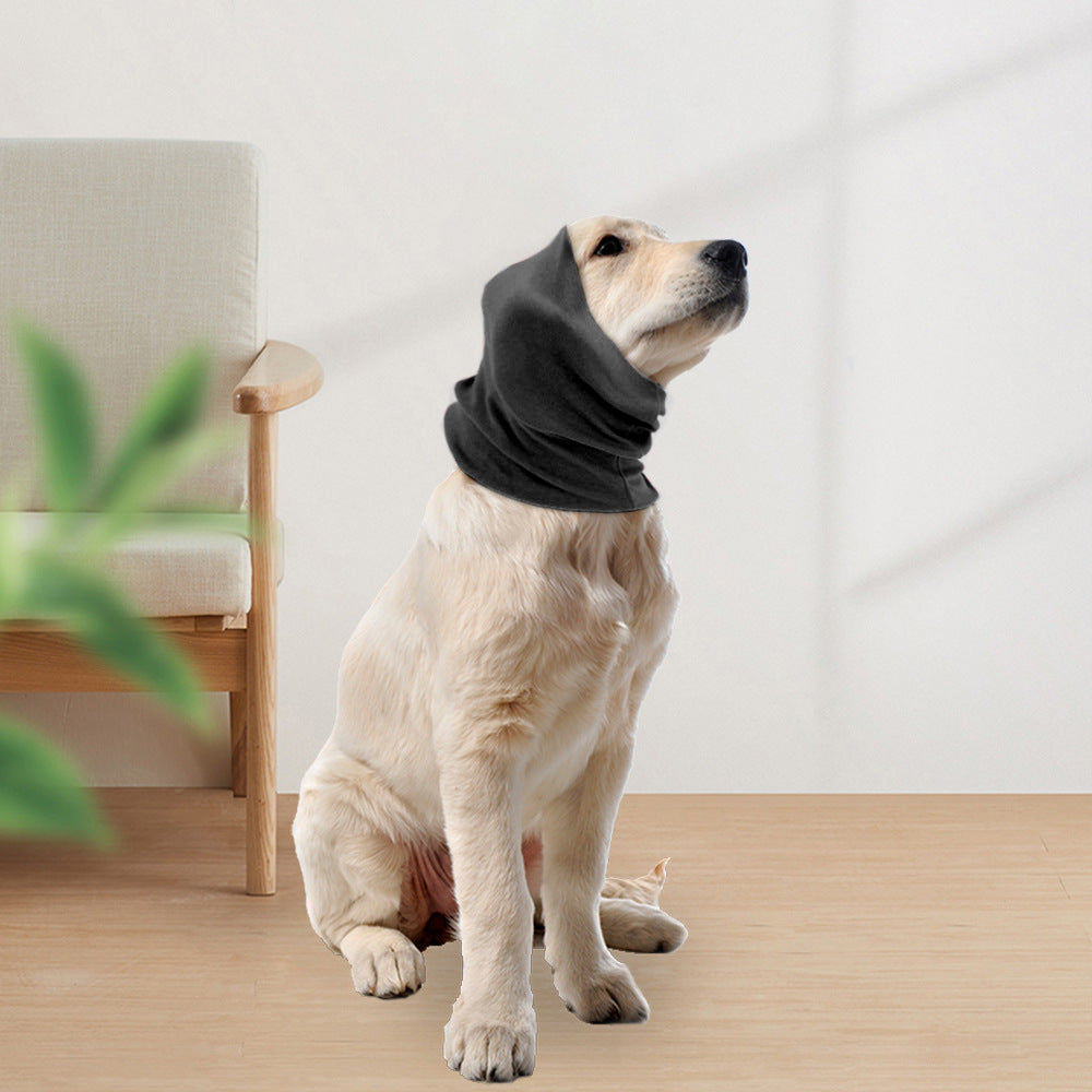 a dog wearing a scarf