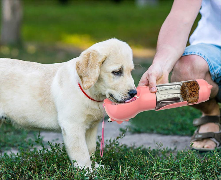 a dog drinking from a bottle