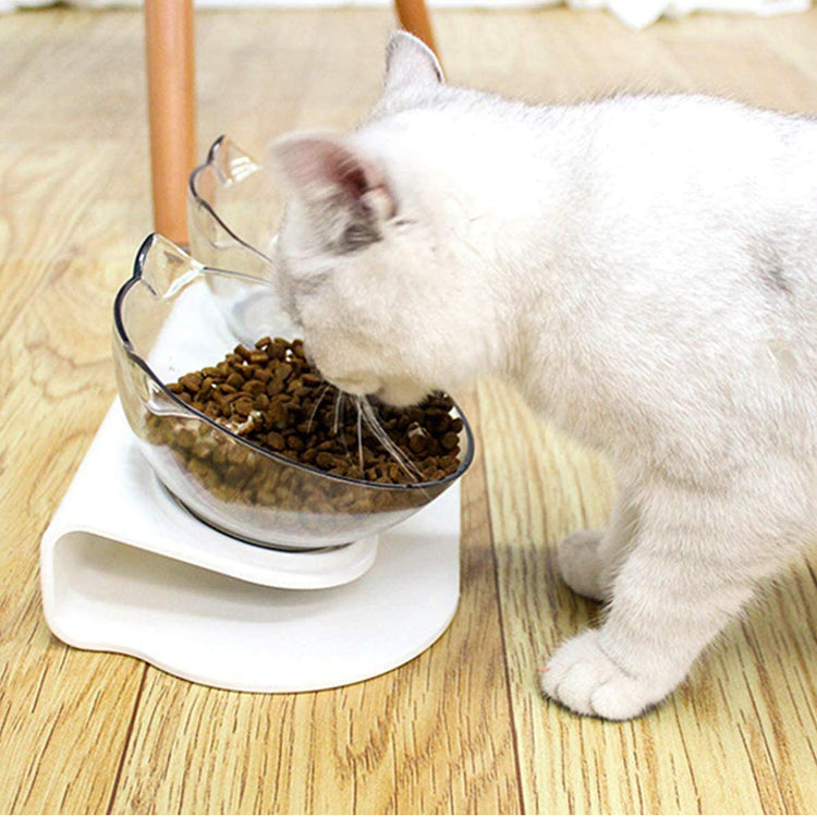a cat eating from a bowl