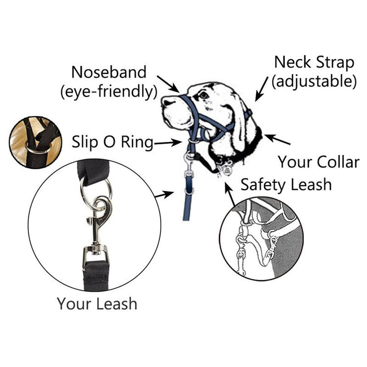 a diagram of a dog's leash