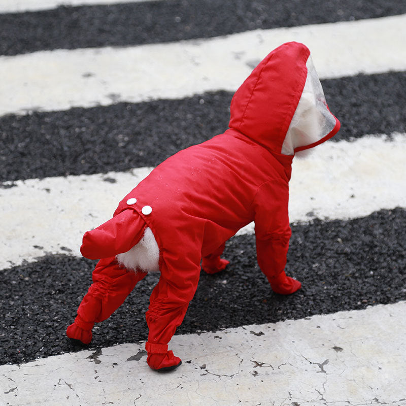 a dog wearing a red suit