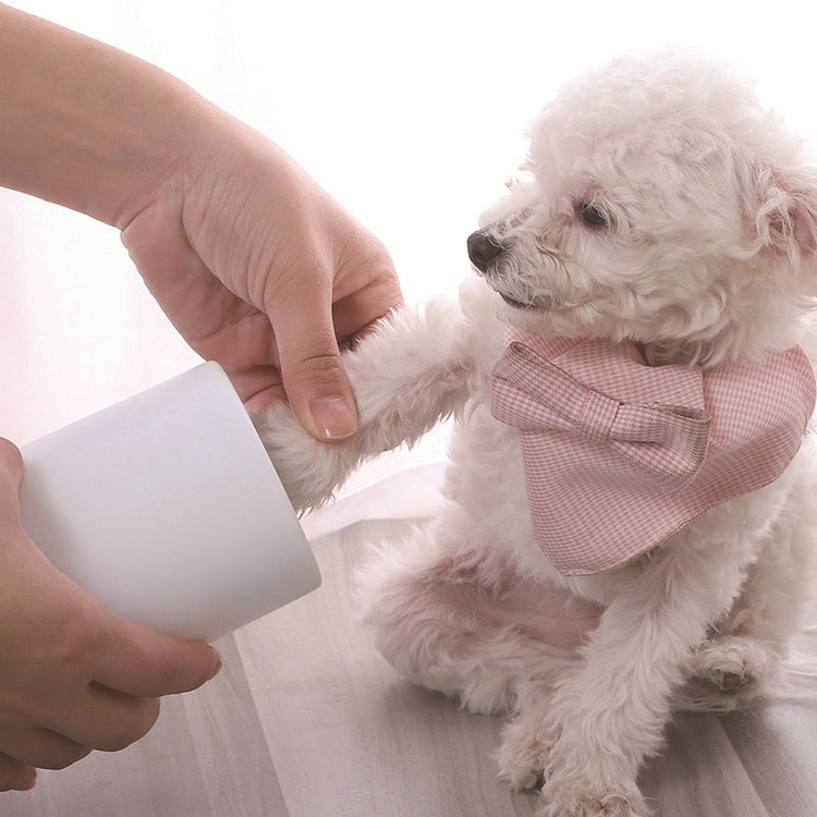 a person giving a dog a paw