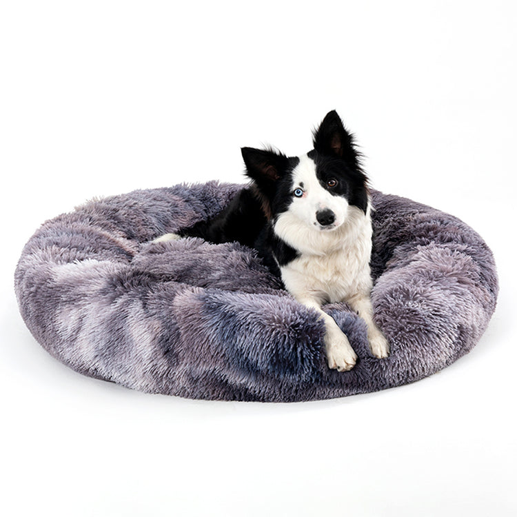 a dog lying in a dog bed