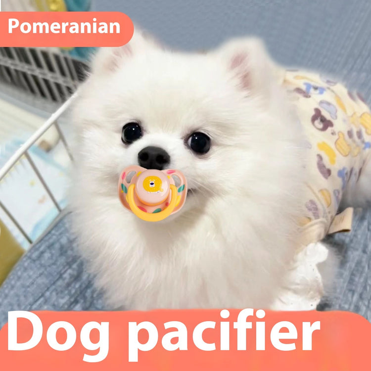 a dog with a pacifier in its mouth