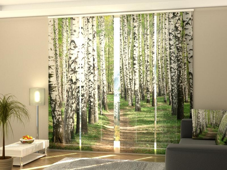 a room with a window with trees and a couch