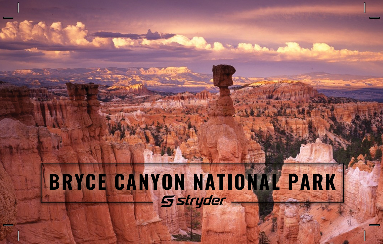 Bryce Canyon White Trucker Hat