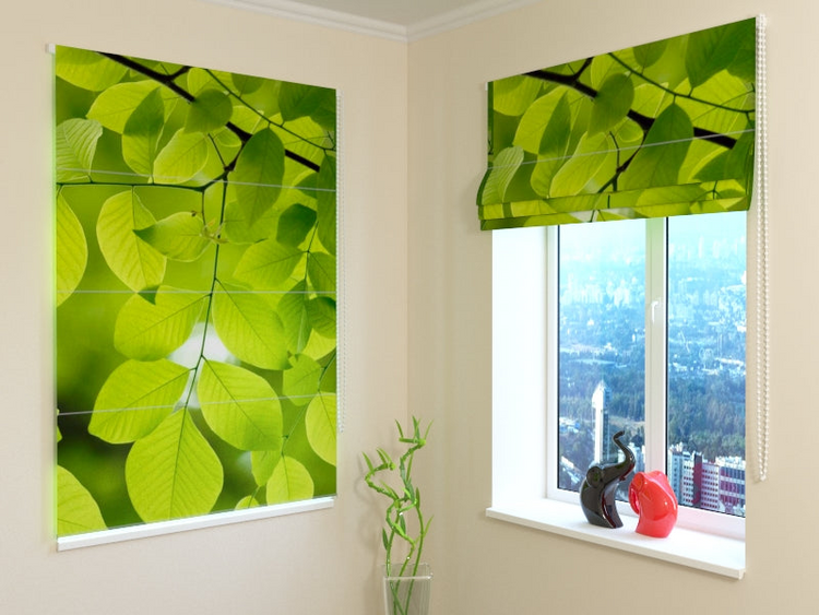 a window with green leaves on it