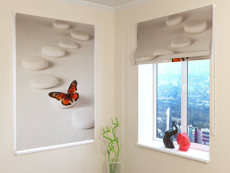 a window with a picture of a butterfly and rocks