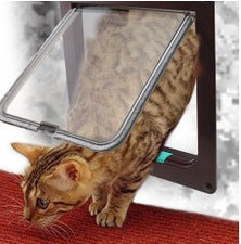 a cat coming out of a door