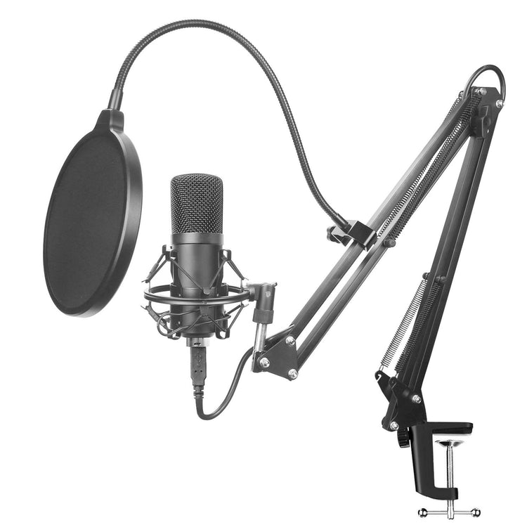a microphone with a pop filter