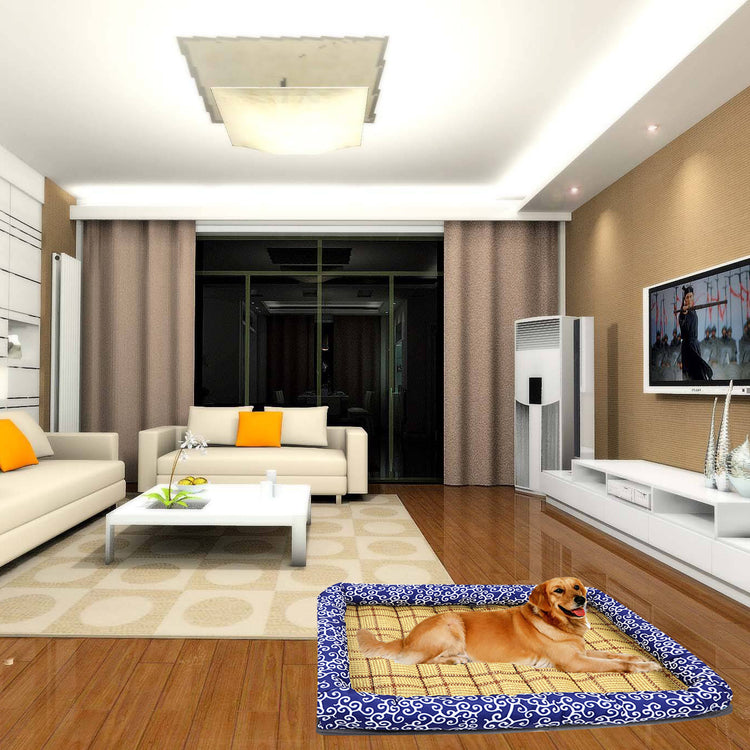 a dog lying on a rug in a living room