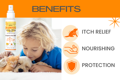 Calendula Lotion Spray