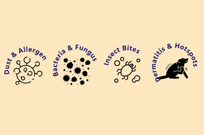 Calendula Lotion Spray