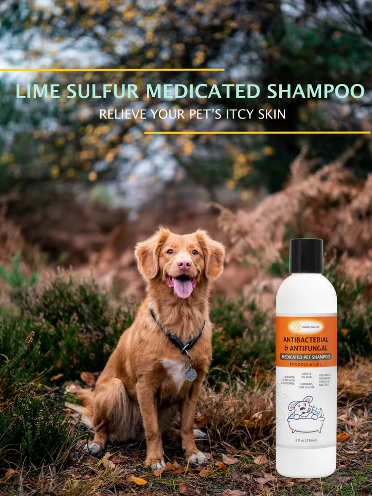 a dog sitting next to a bottle of shampoo