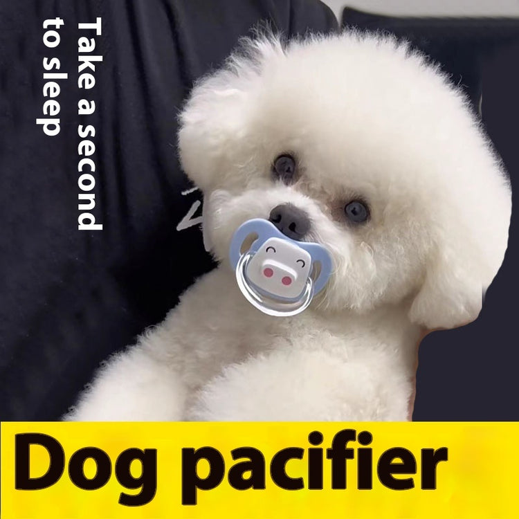 a dog with a pacifier in its mouth