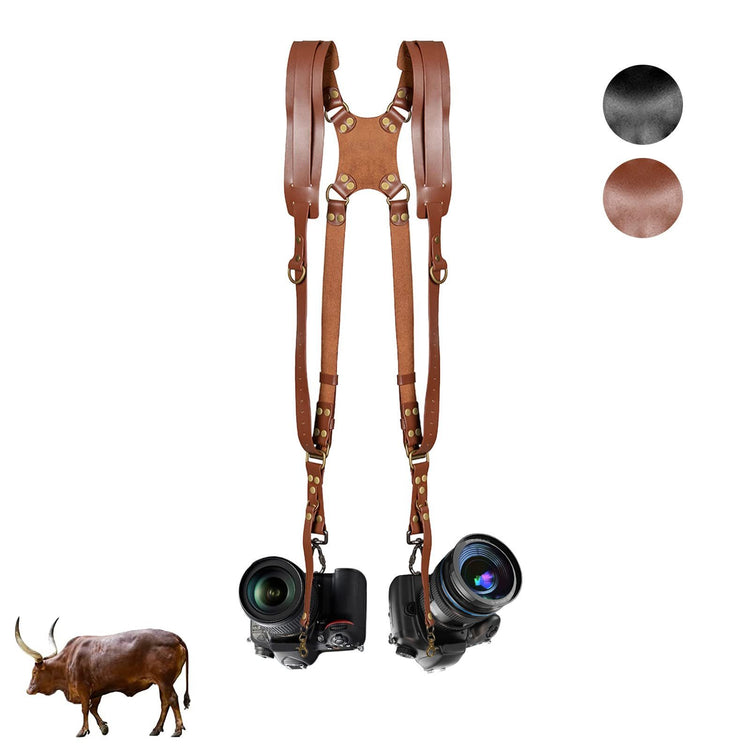 a camera straps and a cow